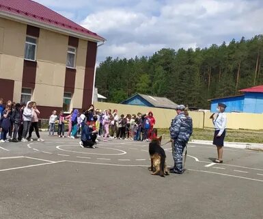 Салют лагерь артемовский
