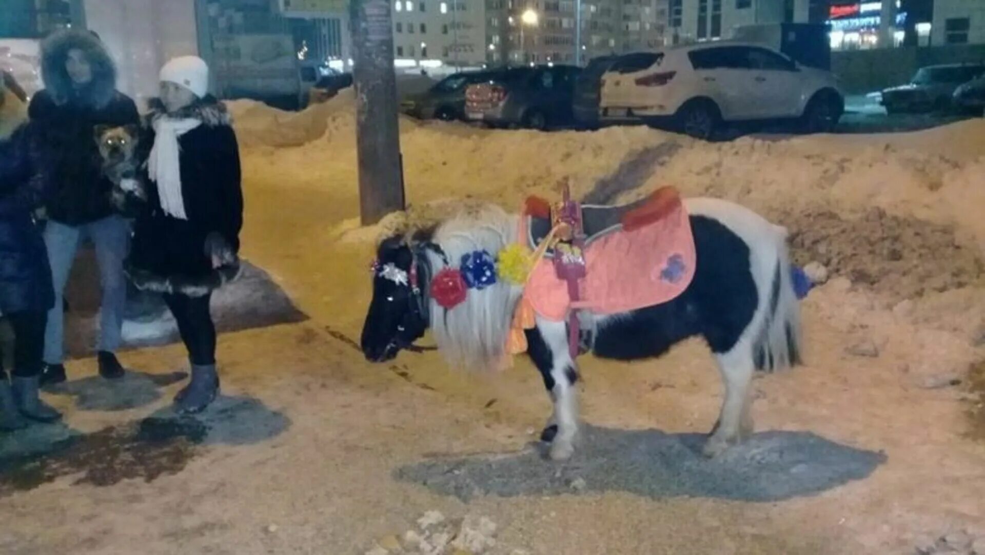 В Тукаевском районе сшибли на пони.
