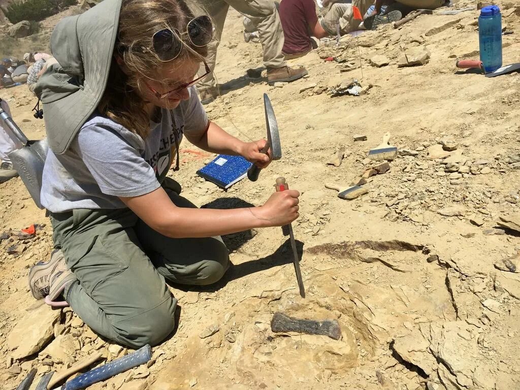 Fossil Archaeological раскопки. Sarah Klassen археолог. Археологические исследования. Археологические раскопки для детей. Провести археологические раскопки