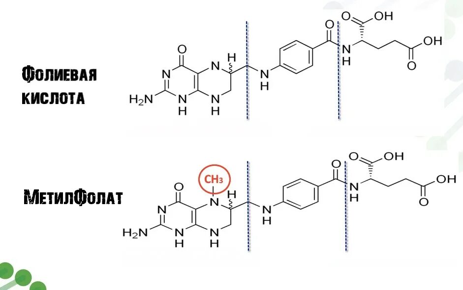 Витамин b9 структура. Витамин фолиевая кислота формула. Фолиевая кислота б9. Структурная формула фолиевой кислоты.