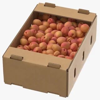 Blox fruit box