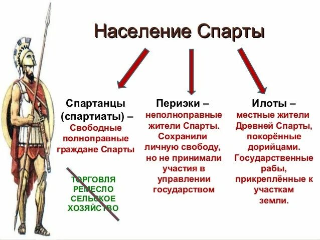 Чем спарта напоминала. Население спарты. население древней спарты. древняя спарта 5. структура спартанского общества.