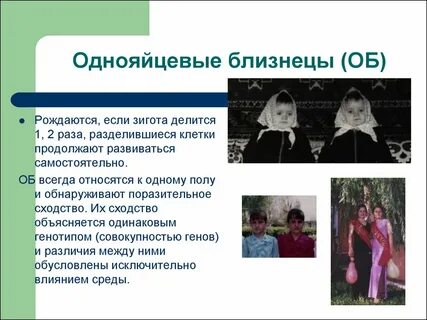 Методы исследования близнецов