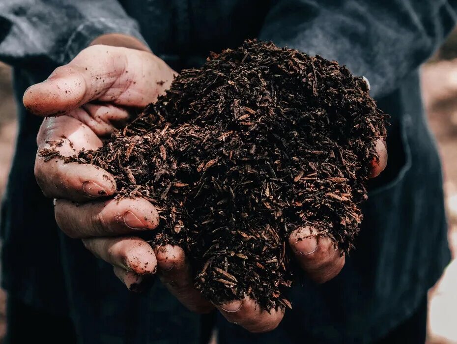 Organic fertilizer