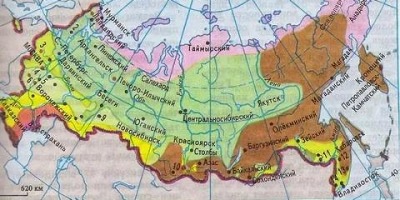 карта природных зон россии