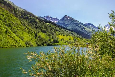Туманлы кель