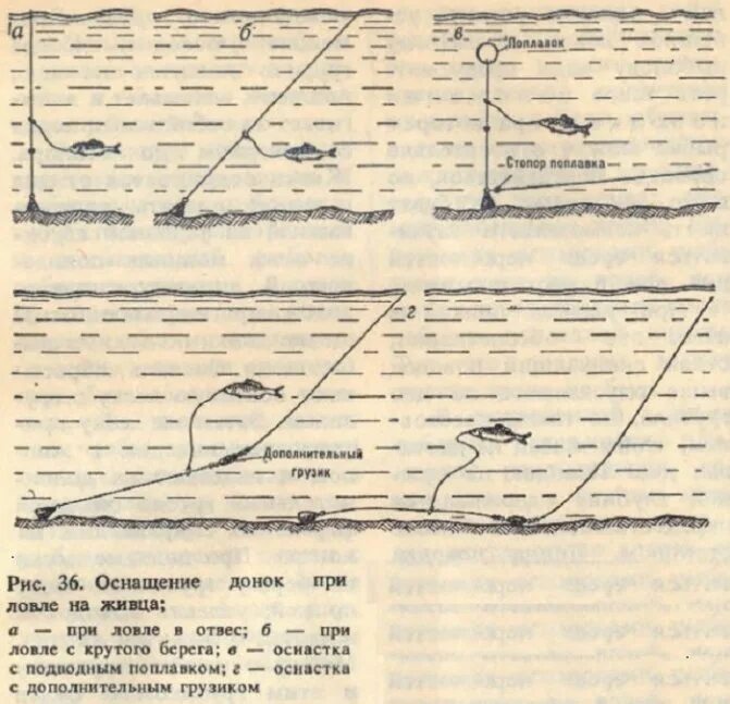 Снасти на ловлю щуки. Донная снасть на судака на живца. Донка на живца с берега оснастка. Донная снасть на судака на живца на течении. Ловля щуки на донные снасти на течении.