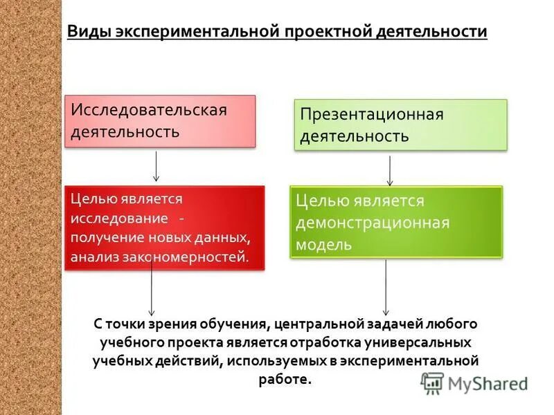 Формы экспериментальной деятельности