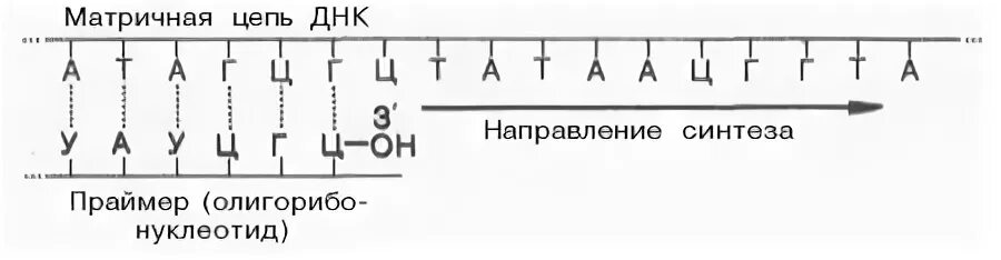Матричная цепь начинается с конца