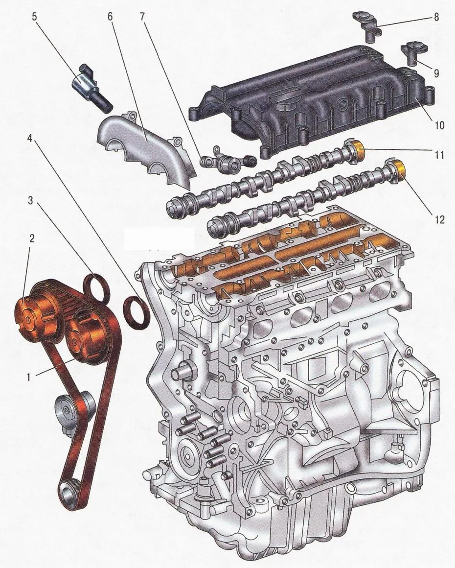 Мотор Форд фокус 2 1.6 100 л.с. Двигатель дюратек 1.6 Форд фокус. Ford Focus 2 Duratec 1.6. Двигатель Форд Duratec 1.6. Ремонт двигателя фокус 1.6