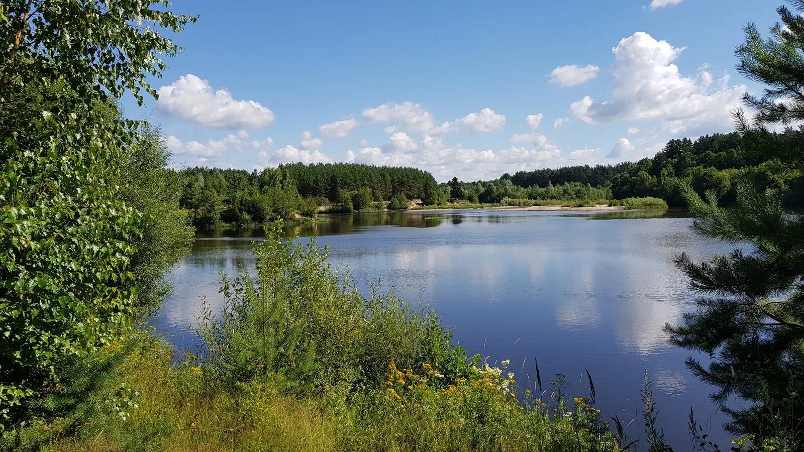 Река узола городец. Река узола городец. Озеро узола нижегородская область. Узола нижний новгород река. Городец речка узола.