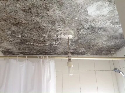 Грибок в гараже как избавиться: Страница не найдена - Garazhov.ru