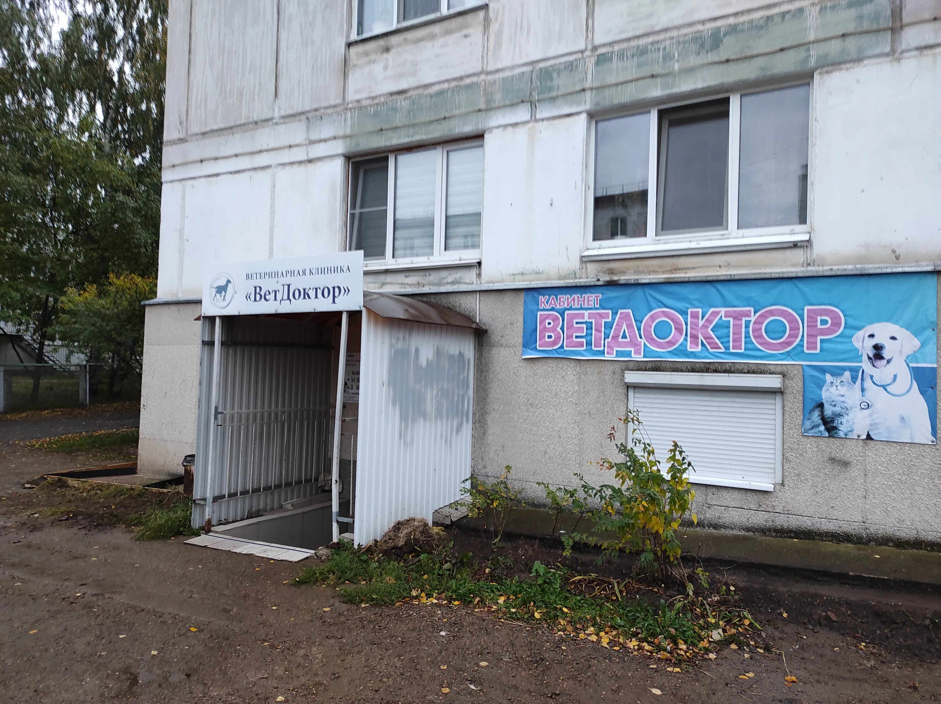 снежный барс клиника нижний новгород. ветлечебница чайковский. ветеринарная клиника тверь чайковского проспект. чайковский, ул. томск ветеринарная клиника сами с усами.