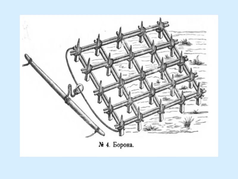 Борона суковатка. Восточные славяне борона суковатка. Борона 19 век. Борона-суковатка это в древней Руси.