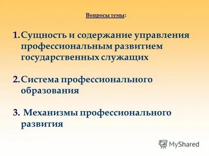 Механизмы профессионального развития