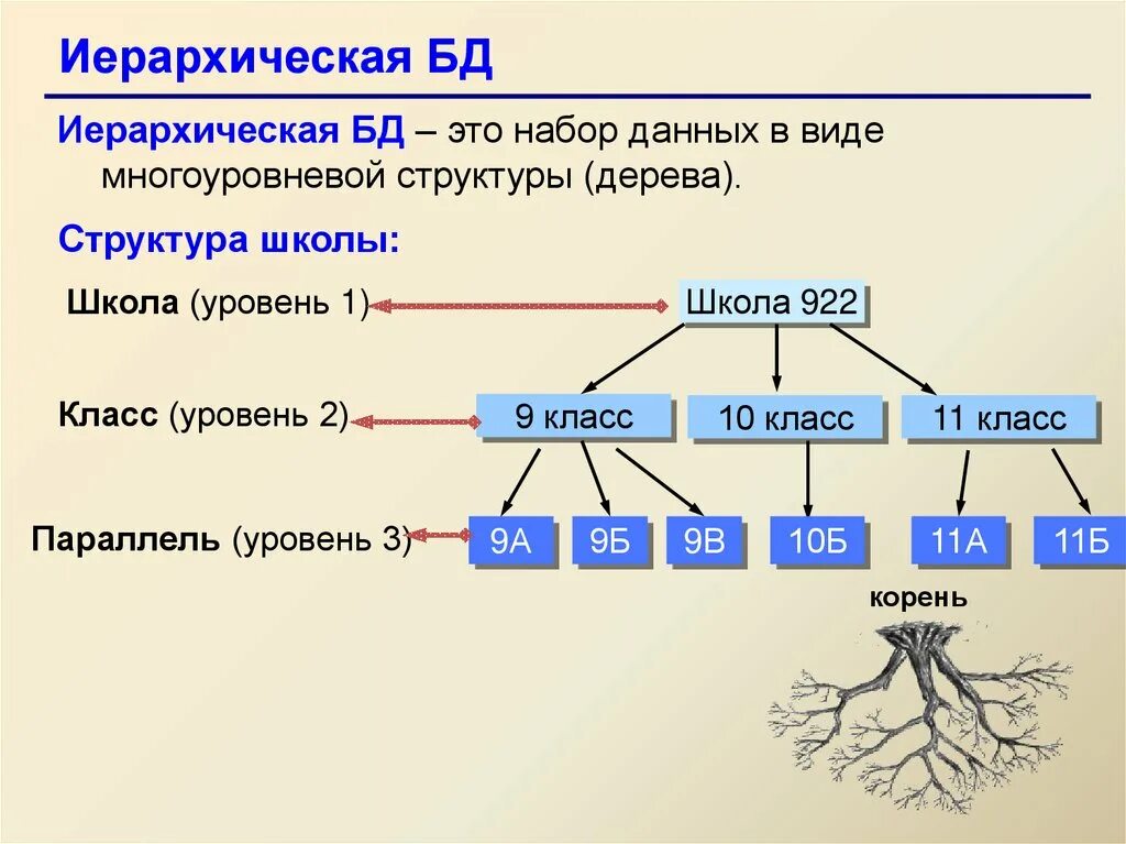 Дерево 5 класс информатика. Иерархическая структура данных. Иерархическая база данных виды. Дерево (структура данных). Иерархическая структура дерево.