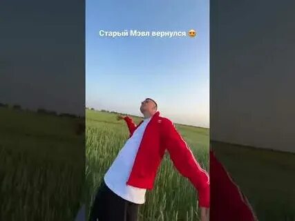 Поздно говорить мэвл