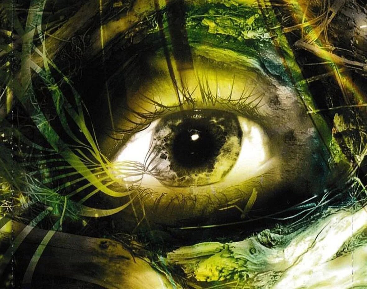 Pendulum - hold your colour (2005). Pendulum crush. Pendulum hold your colour. Blood sugar pendulum. Pendulum hold your colour logo without an eye.