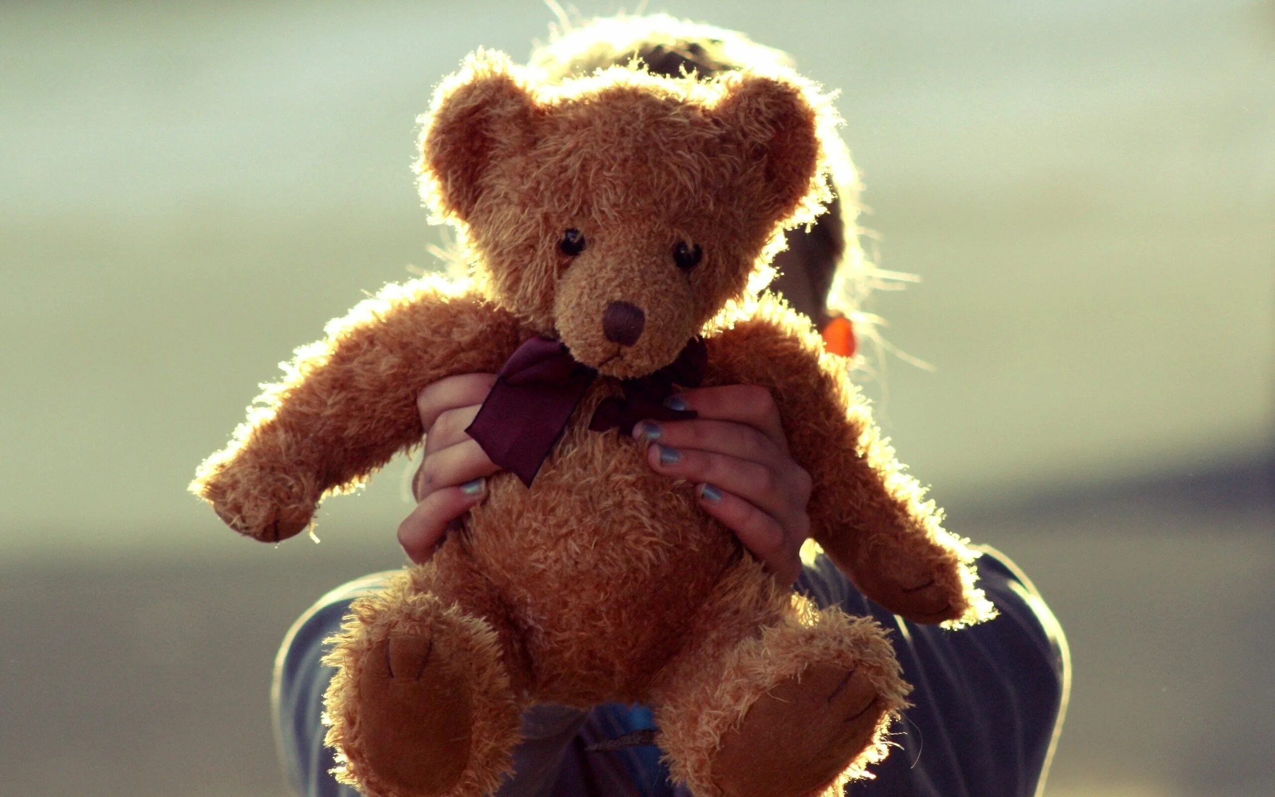 I m teddy bear. Тедди Беар. Плюшевый мишка. Красивые игрушки. Плюшевые игрушки.
