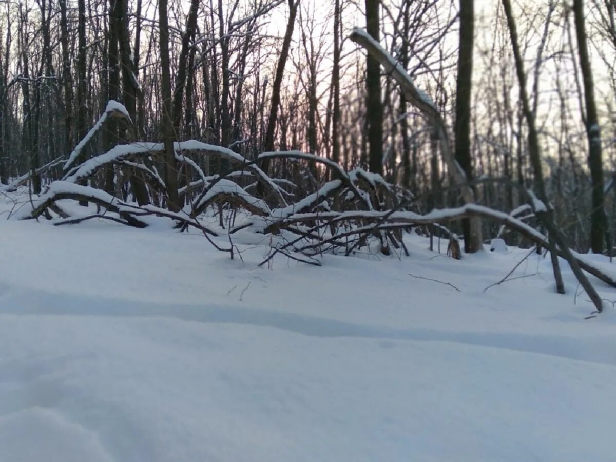 Саратовской области женщина задушила детей. 43 летняя женщина. Вера зайцева прокудино. Девочка овраг. В саратовской области нашли в овраге двоих детей.