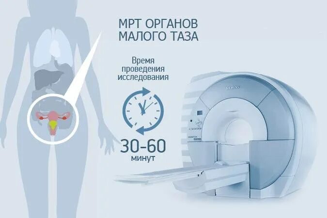 Что можно есть при мрт. Что можно есть при мрт