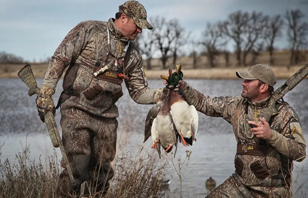 змея такого не ожидала битвы животных снятые на камеру. стал добычей. охота в кировской области. первобытный охотник. стал добычей.