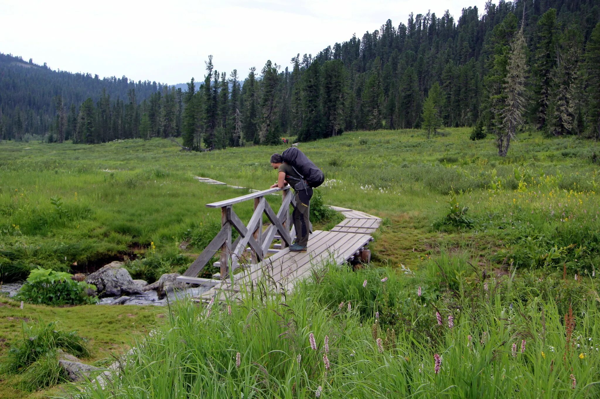 Путешествие по тайге всегда довольно однообразно. Путешествие по тайге всегда довольно однообразно. Путешествие по тайге всегда довольно однообразно. Путешествие по тайге всегда довольно однообразно егэ сочинение. Путешествие по тайге всегда довольно однообразно.