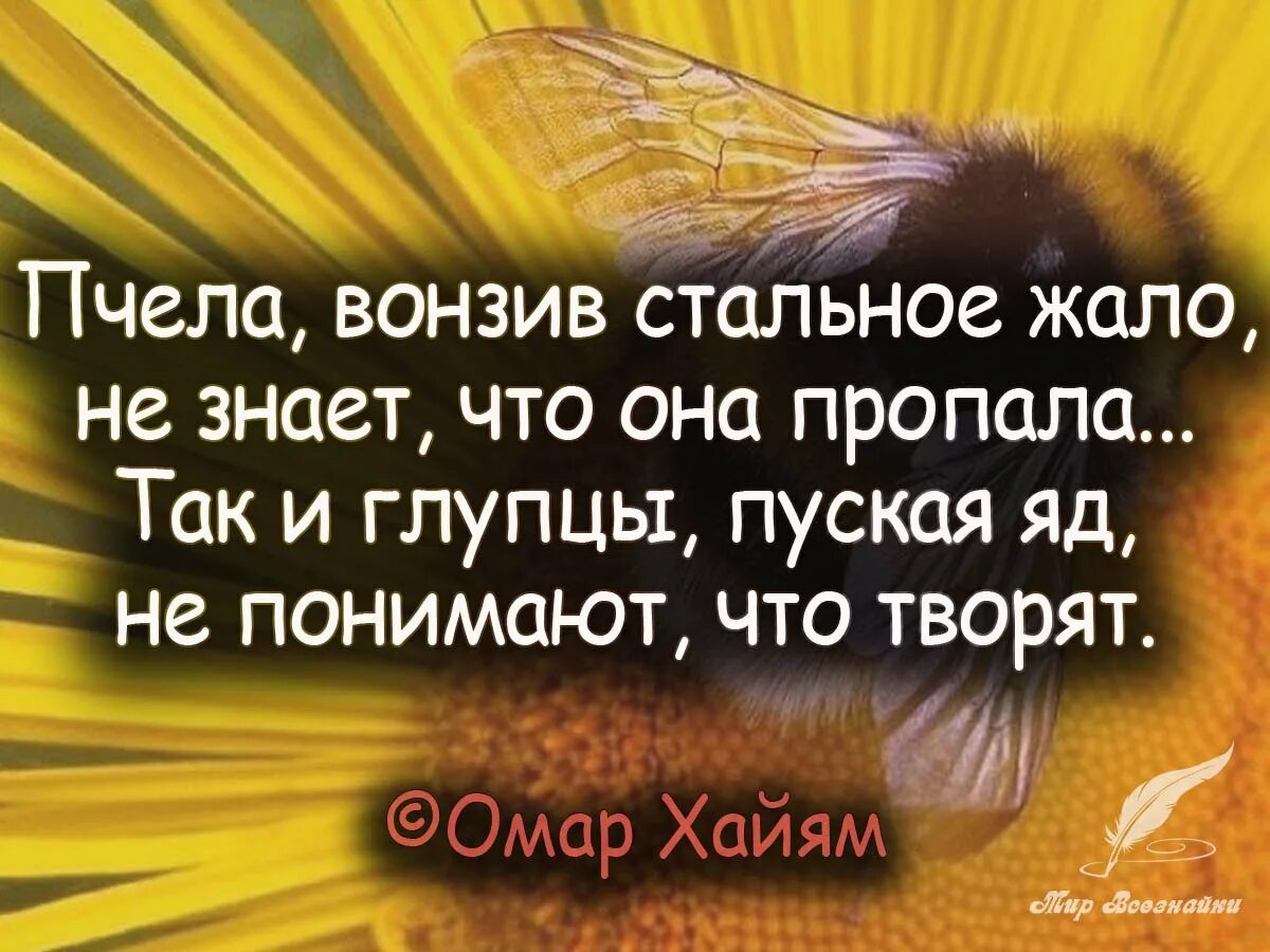 Все что она видела чем жила. Омар Хайям пчела вонзив стальное жало. Омар Хайям пчела вонзив. Цитаты. Мудрые мысли и высказывания.