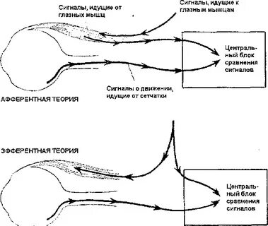 Теория интерфейсного восприятия
