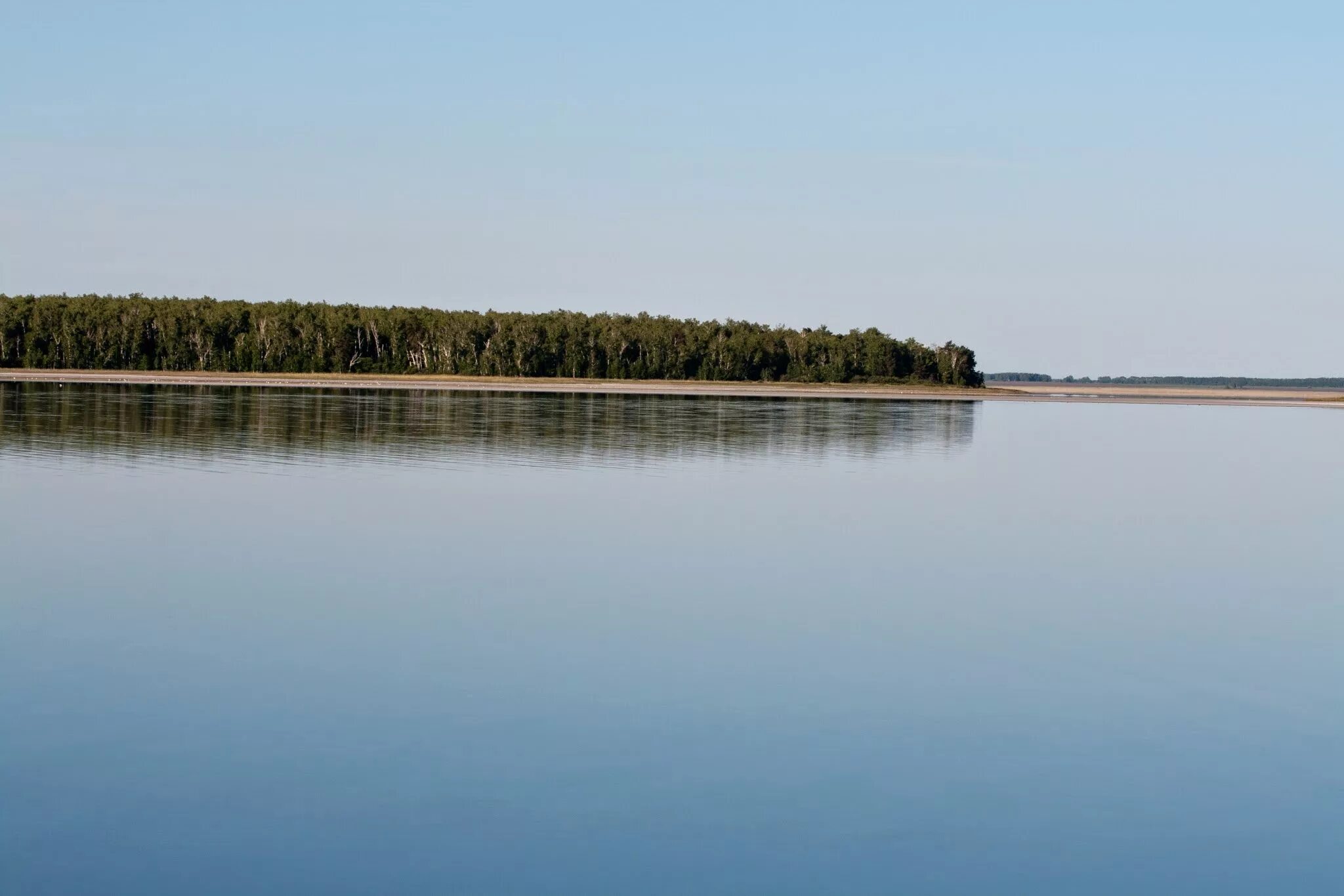 Телефоны озера медвежье. Озеро Медвежье Курганская область. Курганские соленые озера. Озеро Левашово Курган. Курган соленое озеро.