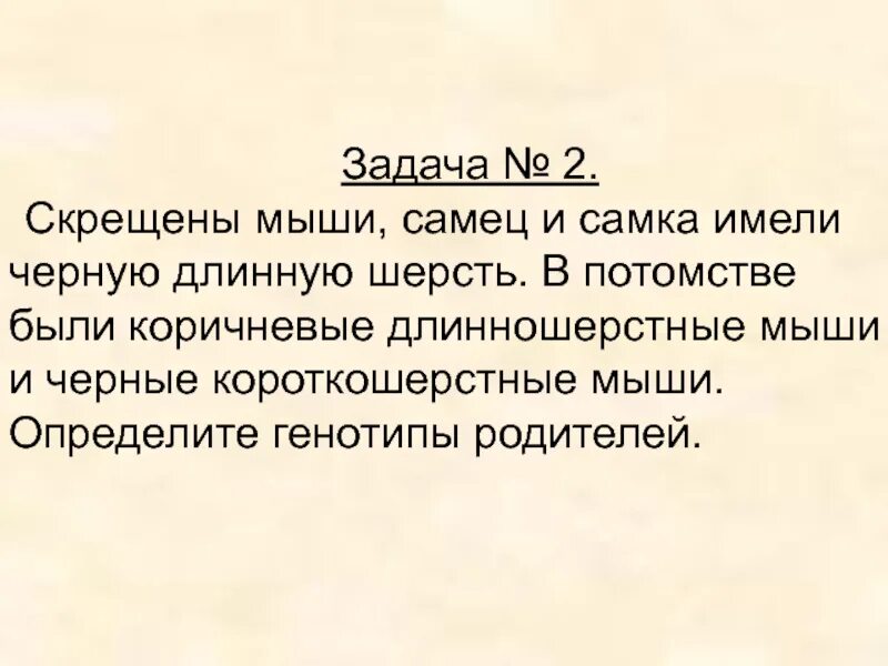 2 Черные самки мыши скрещивались с коричневым самцом. Сокращены мыши самец и самка имели черную длинную шерсть. При скрещивании безусой мыши-самки и мыши-самца дикого типа. Мышь коричневый самец.