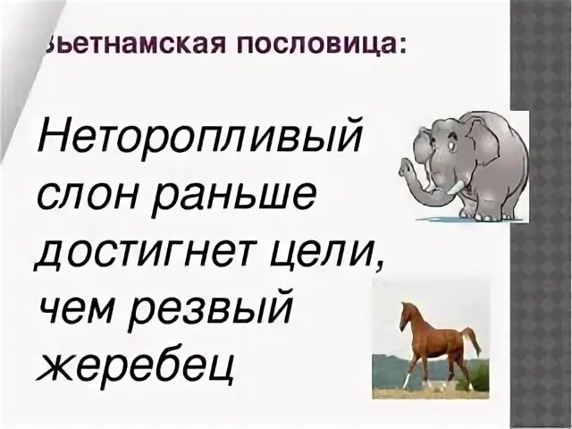 Цель русских пословиц. Неторопливый слон раньше достигнет цели чем резвый жеребенок. Вьетнамские пословицы. Неторопливый слон быстрее достигает цели русская. Поговорки про вьетнамцев.