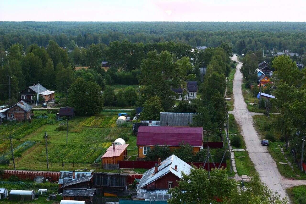 Поселок Зебляки Костромская область. Поселок Зебляки Шарьинский район. Зебляки Шарьинский район Костромской области. П Зебляки Шарьинского района Костромской области. Погода зебляки