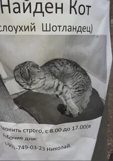Назад найду