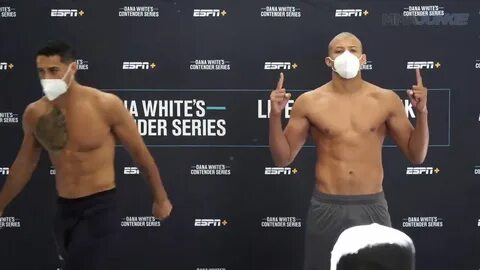 Dana white contender series