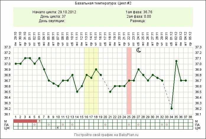 Цикл 37 дней