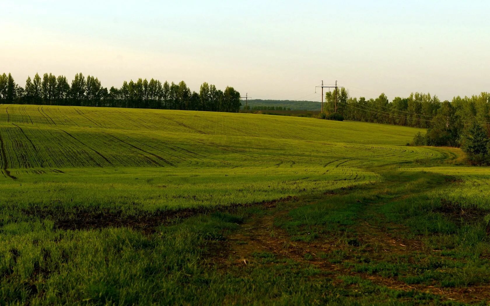 Поле в реальном времени. Поле обычное. в поле. поле реальное. поле деревня.