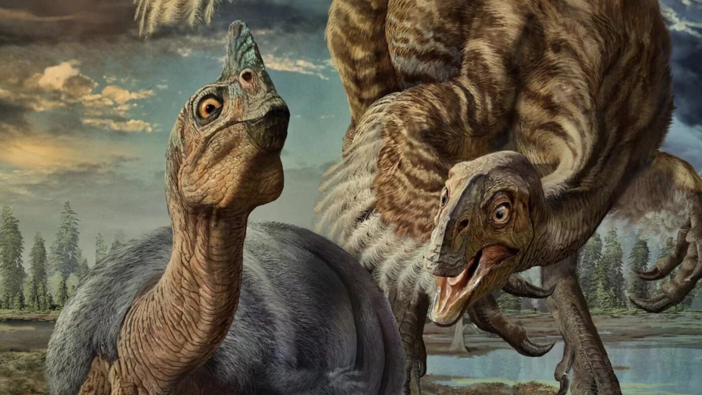 Овирапторозавр. Динозавры. Динозавры картинки. Динозавры вымерли. Динозавры это животные