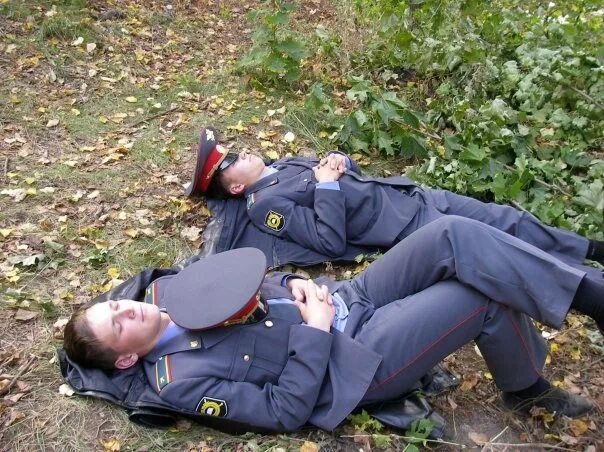 11. Сводка мвд. 11. Машина патрульная. Клэр форлани полицейская академия 7.