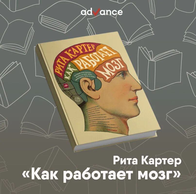 Книга мозг. Как работает мозг книга. Как работает мозг.