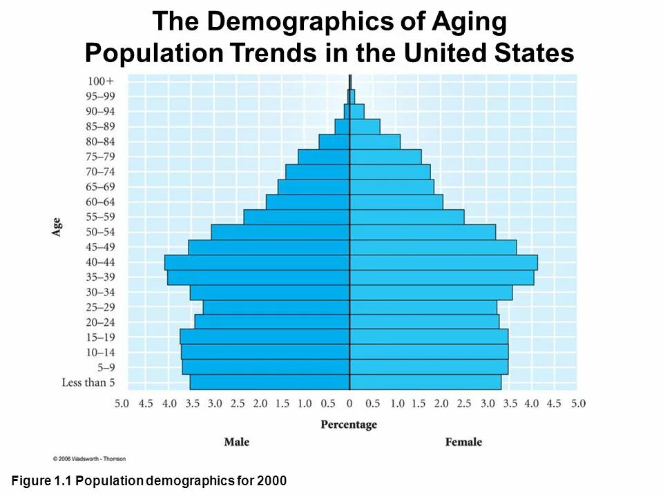 Динамика роста населения земли. Population trends. Динамика роста населения земли. Population growth. Рост населения земли.