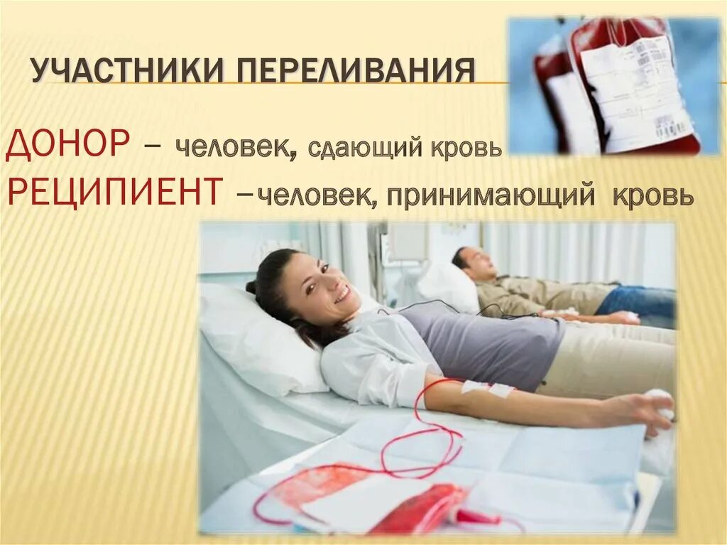 Что такое тканевая совместимость. Тканевая совместимость и переливание крови презентация. тканевая совместимость и переливание крови 8. тканевая совместимость и переливание крови 8 класс. тканевая совместимость и переливание крови донорство.