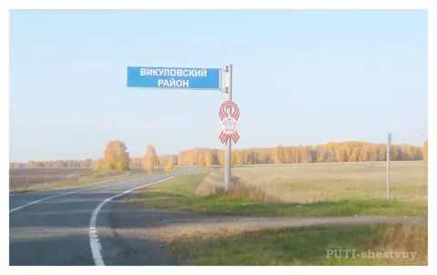 Погода в скрипкино викуловского