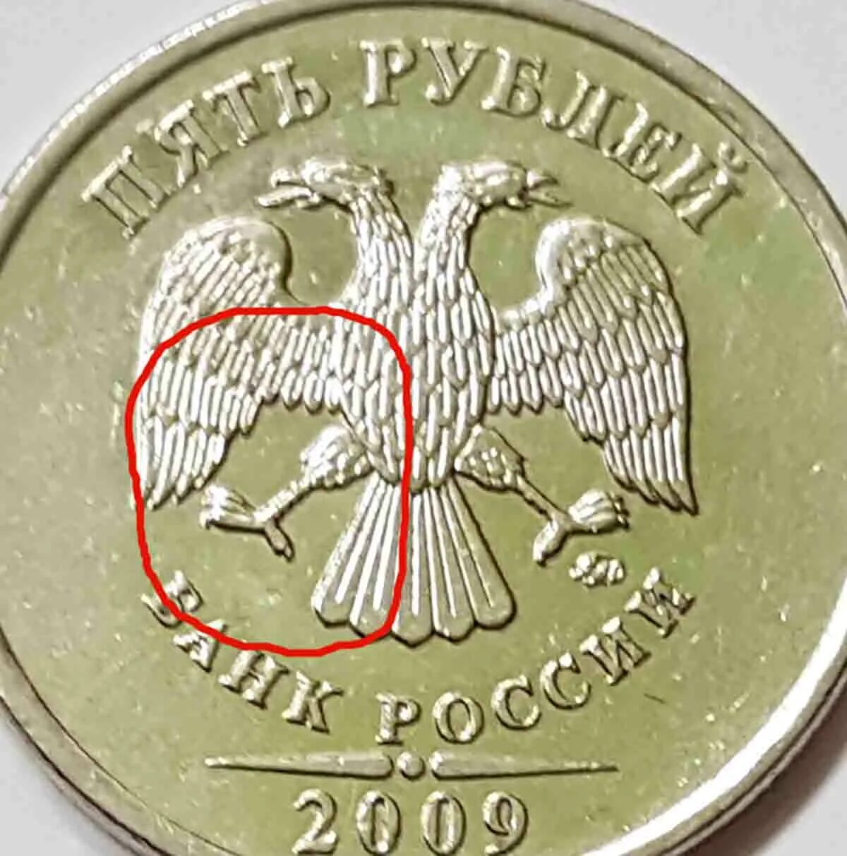Орел на монетке