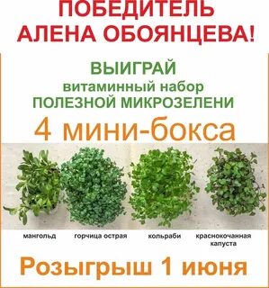 Химический состав микрозелени