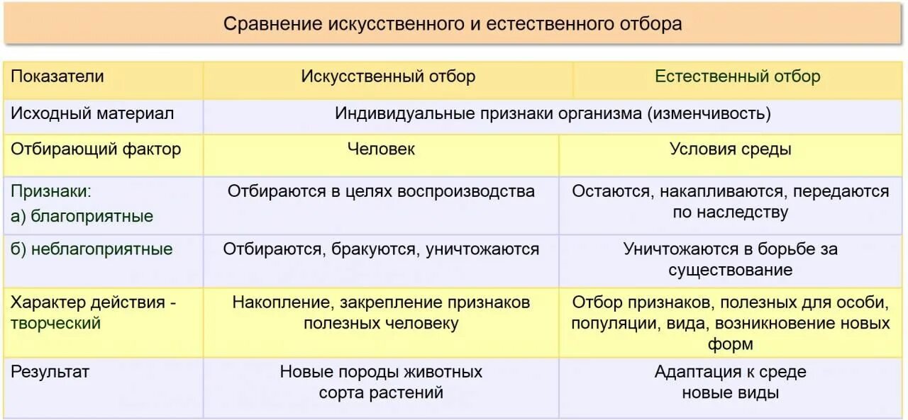 Естественный отбор таблица по биологии. Признаки сравнения естественного и искусственного отбора таблица. Сравнение искусственного и естественного отбора таблица 9 класс. Сравнительная таблица естественного и искусственного отбора 9 класс. Исходный материал для отбора искусственный и естественный.