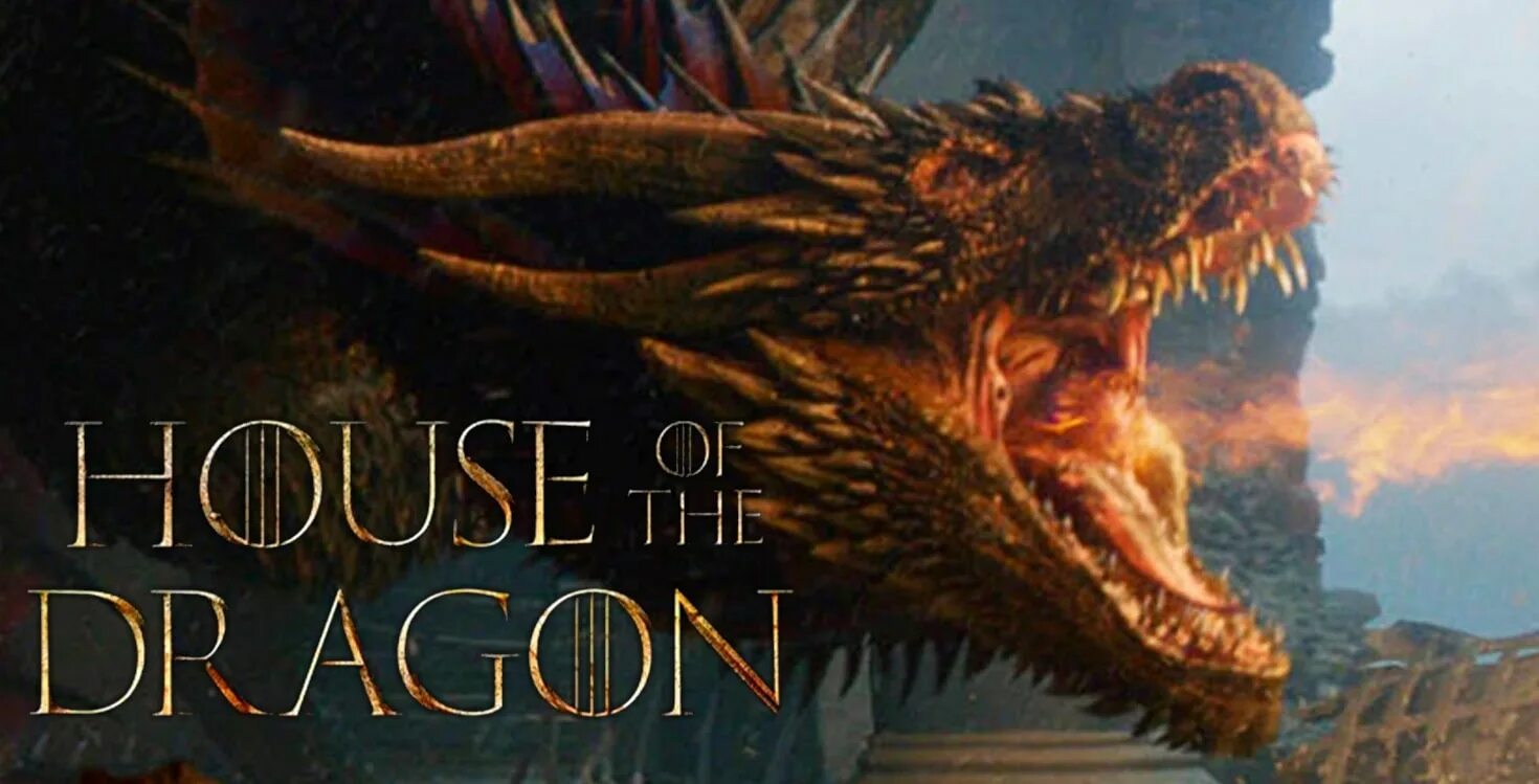 House of the dragon x reader