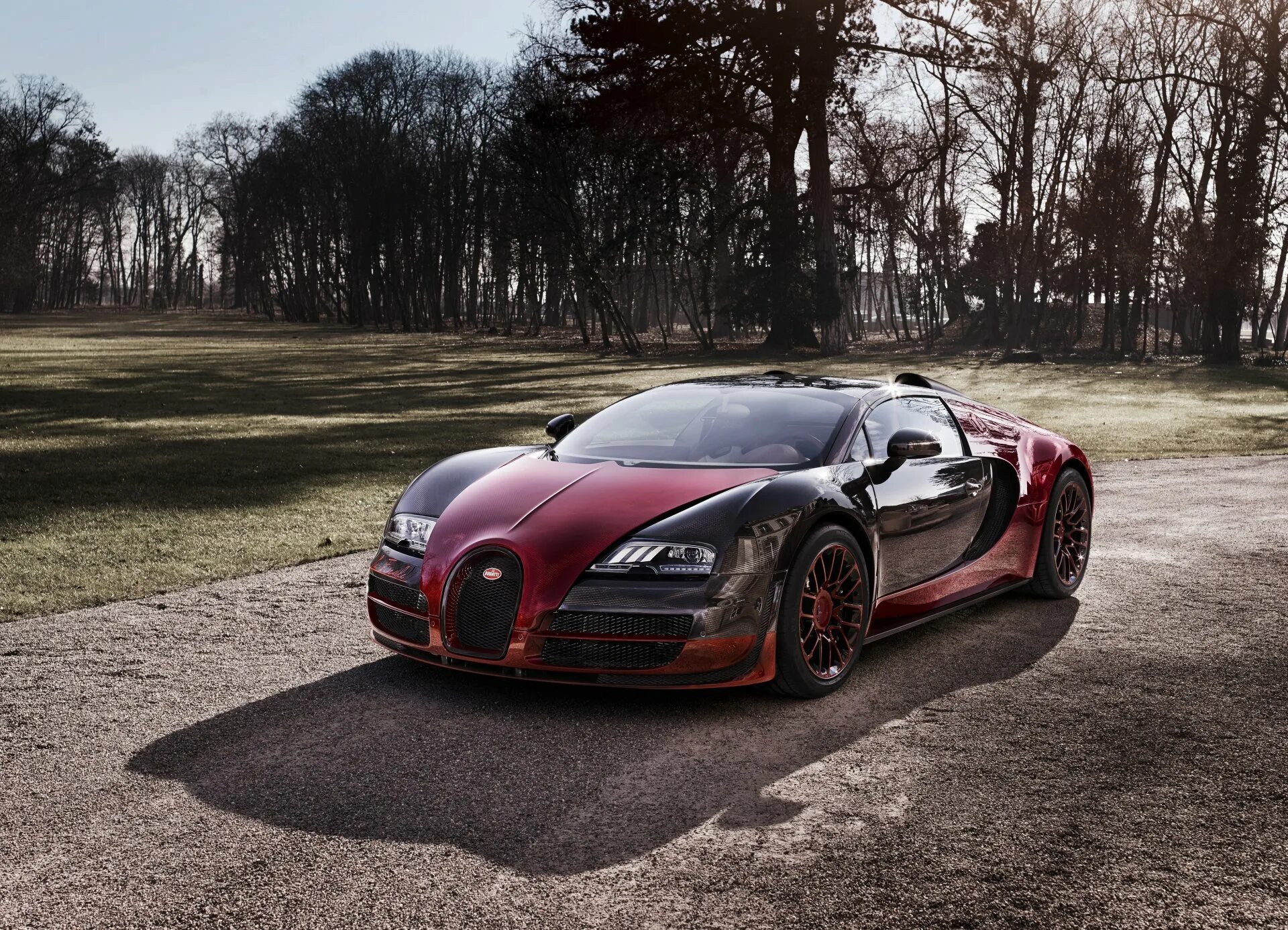 Bugatti vitesse. Бугатти Вейрон. Bugatti Veyron Vitesse. Бугатти Вейрон Гранд спорт. Суперкар Бугатти.