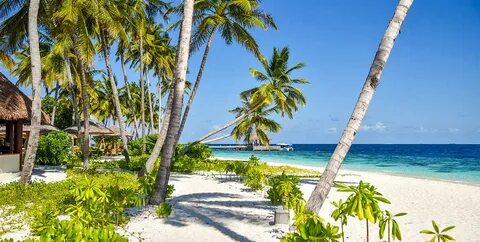Reethi faru resort