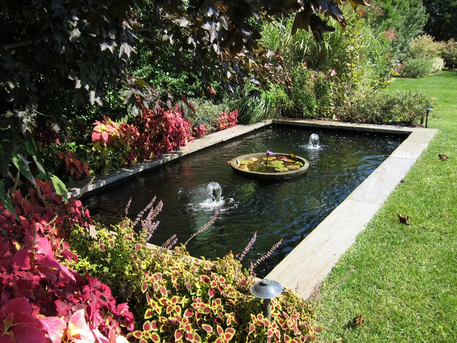 Площадь пруда прямоугольной формы. Прямоугольный водоем на участке. Прямоугольный декоративный водоём. Прямоугольный водоем на участке. Площадь пруда прямоугольной формы 17 200.